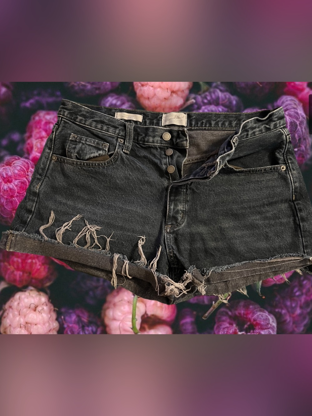 Universal Thread Black Distressed Denim Jean Shorts